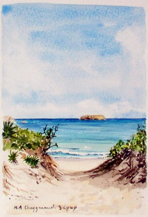 La plage de Saline